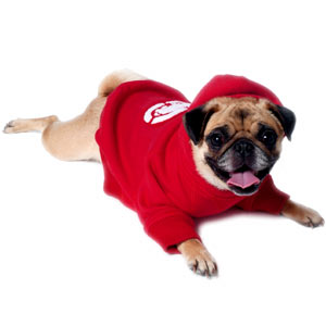ecko-unltd-pet-08