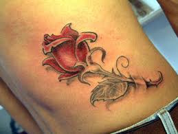 images (1)